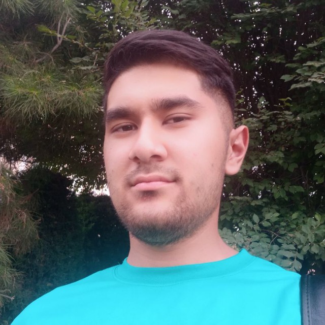 Разработчик