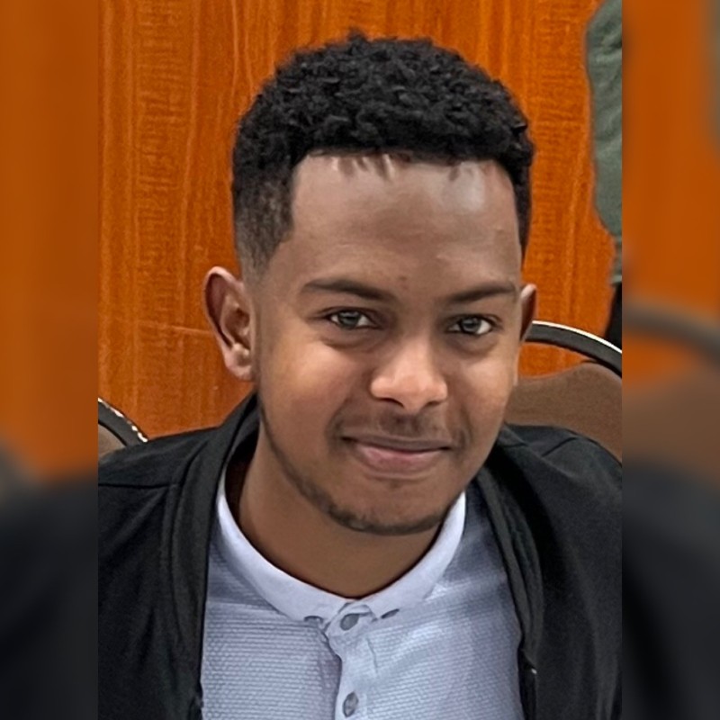 Flutter developer