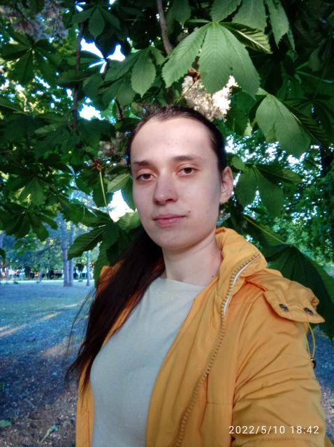 программист и переводчик английского